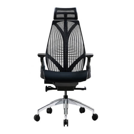 เก้าอี้เพื่อสุขภาพ DF PROCHAIR รุ่น iCare สีดำ_1